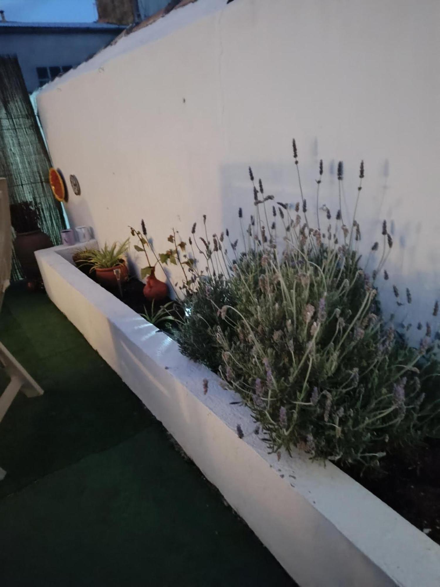 Casa Rural Alegria Caudete de las Fuentes Εξωτερικό φωτογραφία