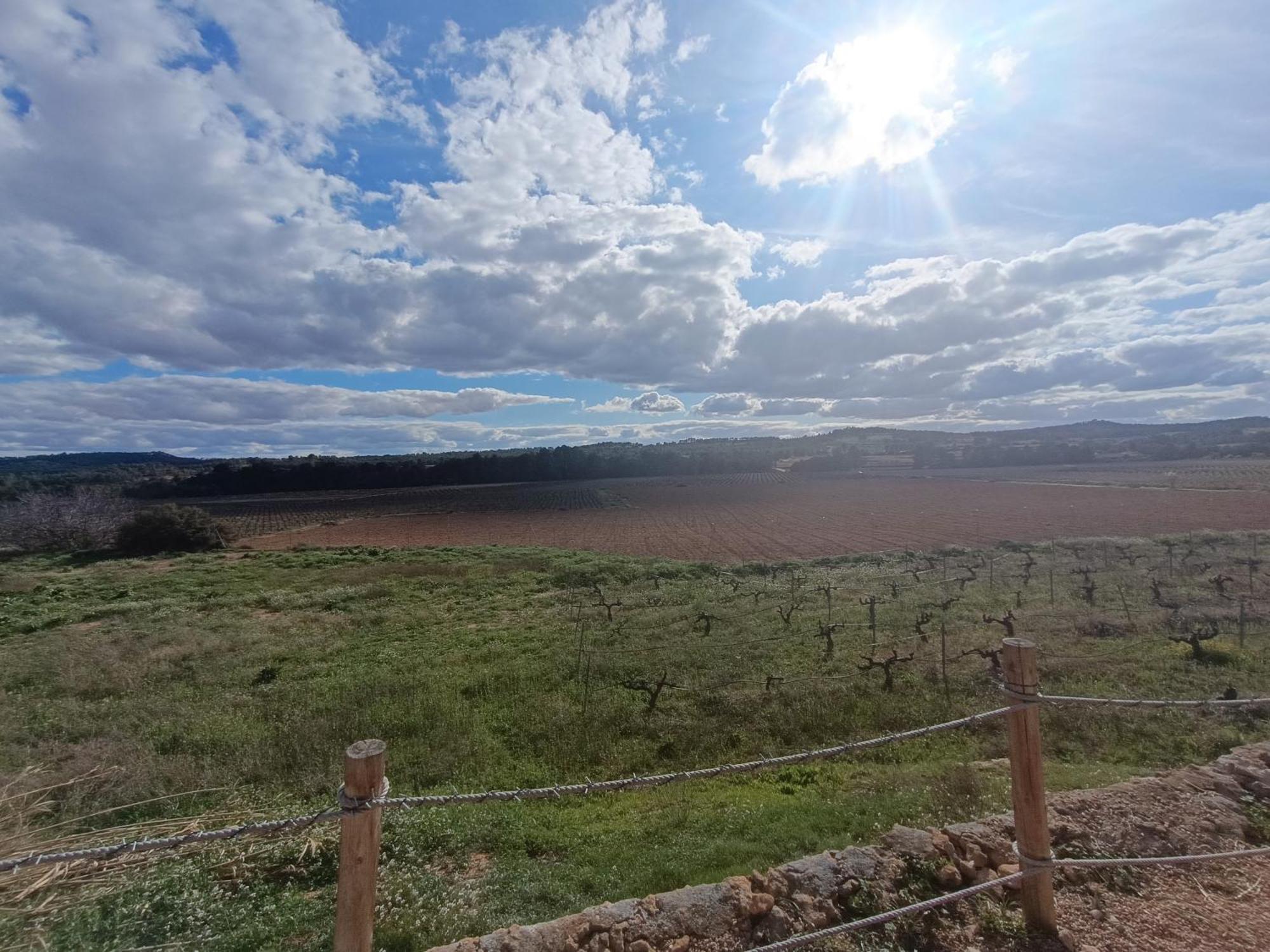Casa Rural Alegria Caudete de las Fuentes Εξωτερικό φωτογραφία